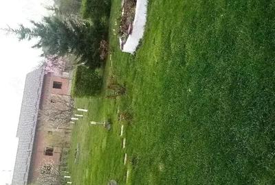 Casă cu Teren 1989 Mp în Ciritei