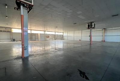 Hala 1400 pentru depozitare sau productie Hala 1400 pentru depozitare sau productie - 9