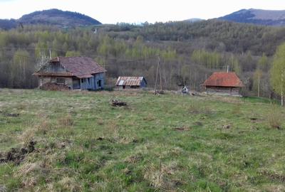 Spațiu comercial, în Chinteni - 8