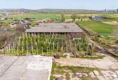 Teren de 29790 mp, în Tomești - 2