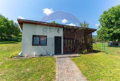 Casa de vanzare Certeju de Sus,jud Hunedoara - 14
