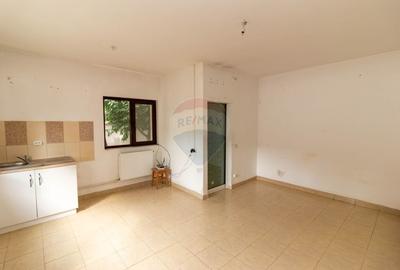 Casa / Vila spatioasa P+1+M de vanzare zona Padurea Cernica - 24