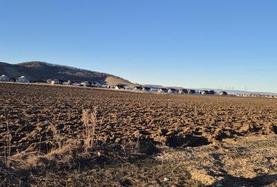 Teren Construcții intravilan de 500 mp, în Sânpetru - 1