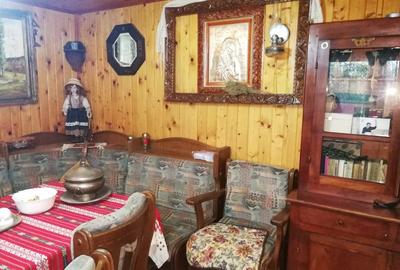 Vanzare pensiune, centrala proprie pe lemne/carbuniproprie pe lemne/carbuni - 17