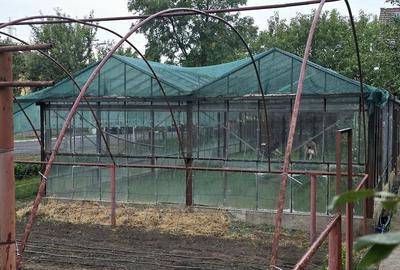 Casă cu 3 camere în Gai - 4