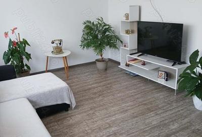 Casa P + M in Agigea - 6