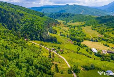 Teren de 7400 mp, în Tărlungeni - 5