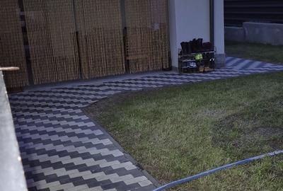 Casă cu 4 camere în Coman - 3