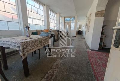 Casa individuala cu teren generos 2158mp, front 12m, livada, Freidorf - 55