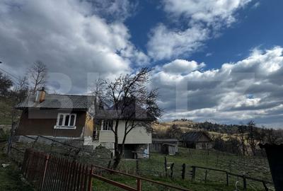Casa la munte, teren 8324 mp, anexe, zona comuna Bucium - 9