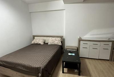Garsonieră semidecomandată în Olteni - 2