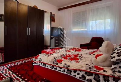 Casa de vanzare in Ineu formata din 2 cladiri - 11