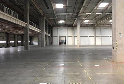 Inchiriere depozit/hala/spatiu industrial Popesti Leordeni-DN4-A0 - 6