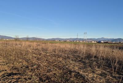 Teren Construcții intravilan de 500 mp, în Sânpetru - 2