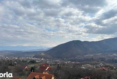 Teren de 5000 mp, în Central - 1