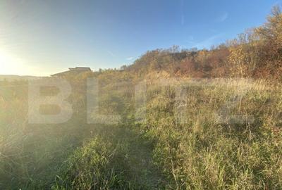 Teren intravilan in zona Sarmas in suprafata de 5332 mp - 1