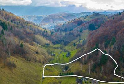 COMISION 0% Teren 8013mp Moieciu de Jos / Strada Valea cu... - 6