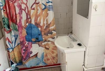 Apartament cu 2 camere în Plantelor - 4