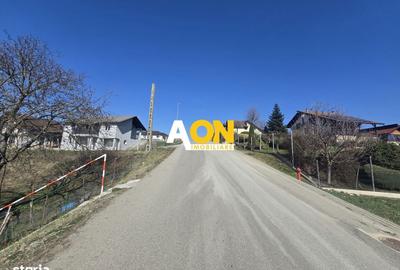 Spațiu comercial, în Șeușa - 3
