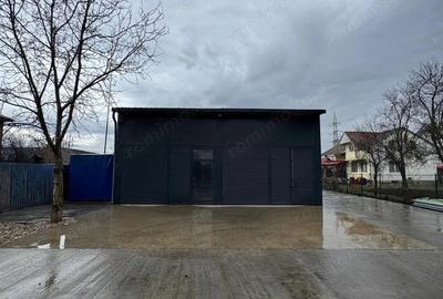 Depozitelor- Vanzare spatiu comercial + teren + hala - Str. Caminului - 8