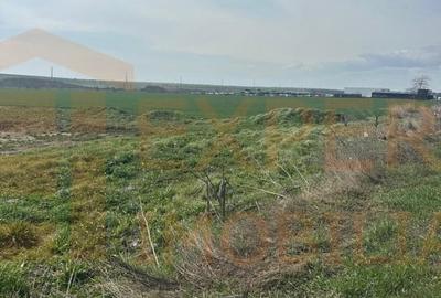 Teren Construcții intravilan de 10000 mp, în Valu lui Traian - 5