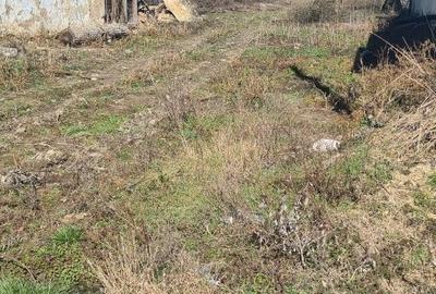 Casă cu 3 camere în Coroi - 5