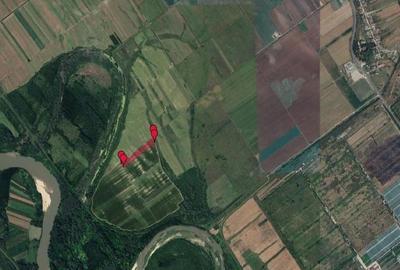 Teren extravilan Cotofanii din Fata 12,500 mp, Dolj - 3001407 - 3