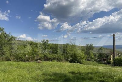 Teren intravilan de vanzare, 15080 mp, zona Tatara?ti - 1