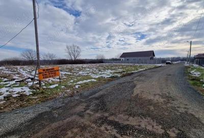 Teren de 661 mp, în Ghiroda - 2