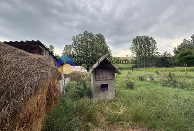 Casa de vanzare - GHINDAOANI - 20