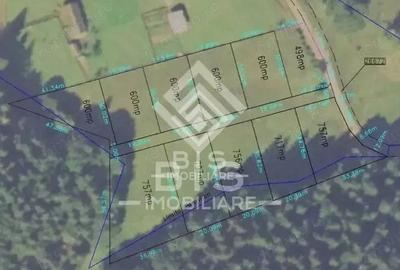 Teren de 6000 mp, în Sud