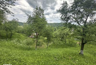 Spațiu comercial, în Telega - 2
