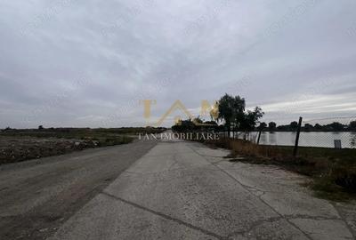 Teren industrial 17770MP Sacalaz ( Fosta ferma de Porci) - 3