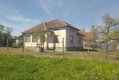 Casa in Viile Satu Mare cu 41 ari teren - 2