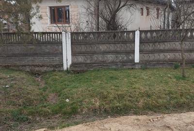 Casă cu 3 camere cu Teren 5000 Mp în Valea Vinului - 2