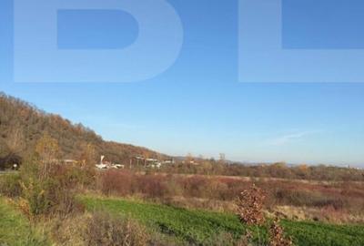 Teren de 18532 mp, în Central - 8