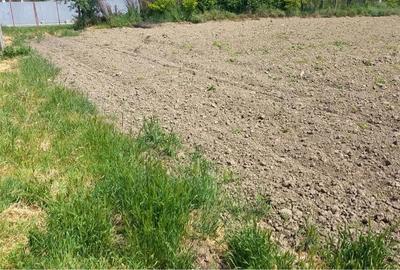 Teren de 1000 mp, în Nămoloasa - 4