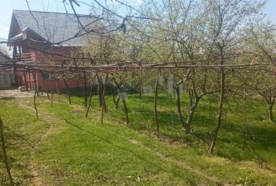 Casă cu Canalizare în Bucium - 5