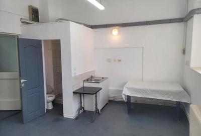 Inchiriez apartament 2 camere + 2 bai pentru muncitori, (maxim 10 persoane ) in zona ultracentrala, - 1