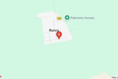 Teren Construcții intravilan de 800 mp, în Runcu - 1