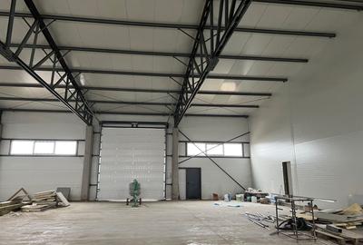 Spatiu depozitare si productie Chitila - 5