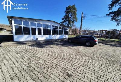 De inchiriat hale ?i showroom in Lugoj - 1
