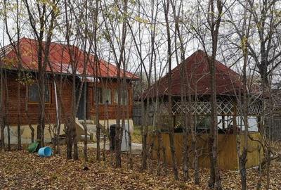 Casa de vanzare Salcia Prahova - 5