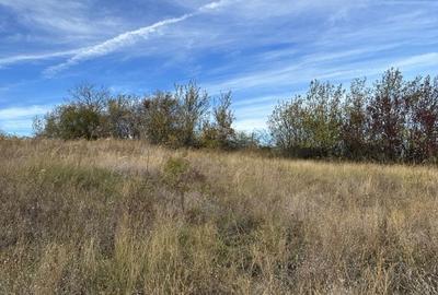 Teren de 5246 mp, în Ceptura - 2