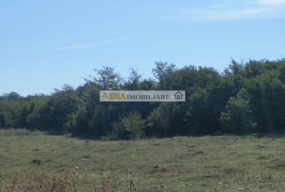 Teren intravilan investitie turism balnear fonduri europene - 1