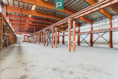 Hala industriala cu pod rulant ?i parcare betonata - 5