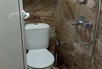 Garsonieră în Aradului