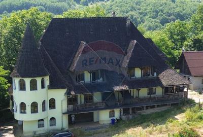 DE VANZARE CASTEL IN MARAMURES - 1