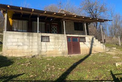 Casă în Bertea - 5