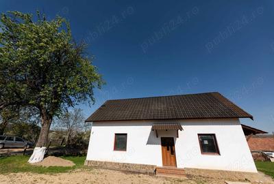 Casă în Pianu - 3